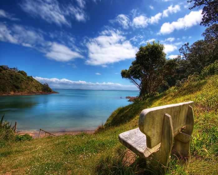 Bench overlooking a bay with trees and blue sky