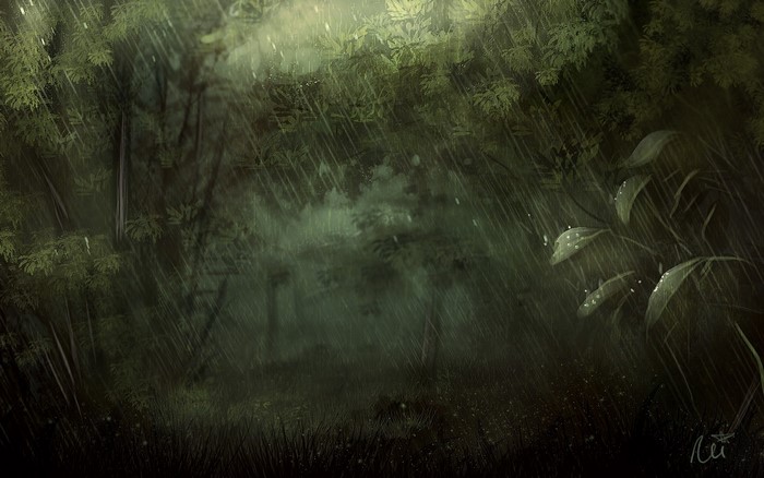 Rain falling in a dark green forest