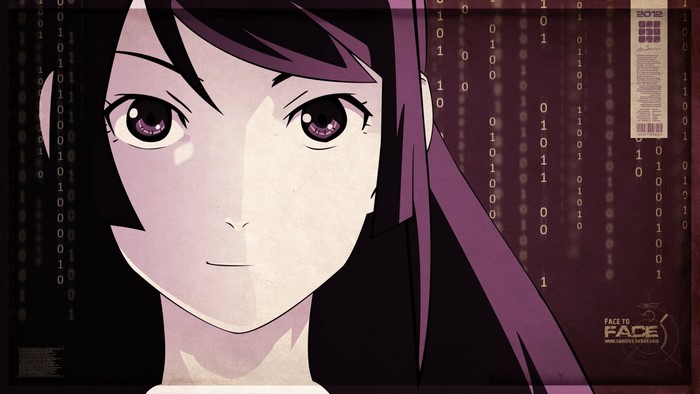 Hitagi Senjougahara from Monogatari Series