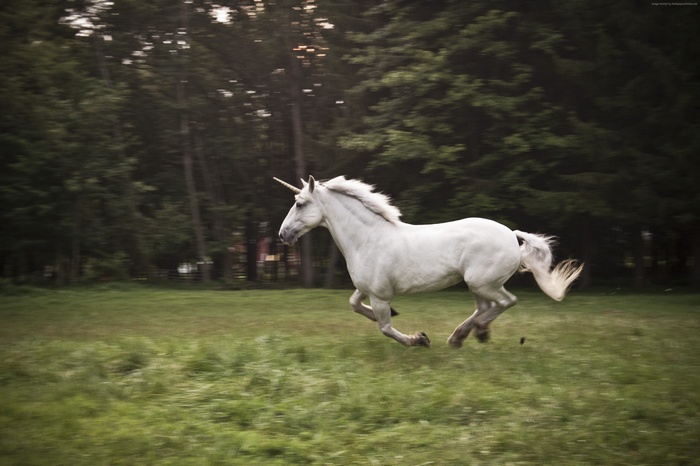 White unicorn running in a grassy field
