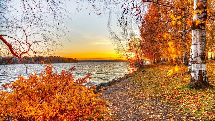 Autumn sunset over a lake with trees and fallen leaves