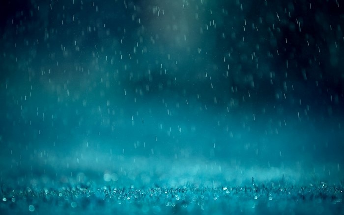 Raindrops falling on grass