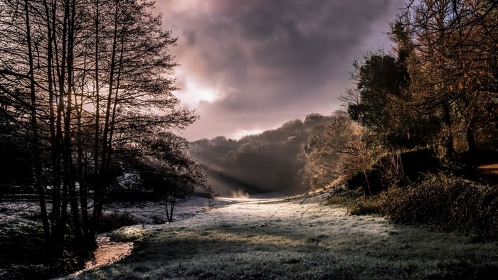 Sun rays through trees over frosty landscape with stream