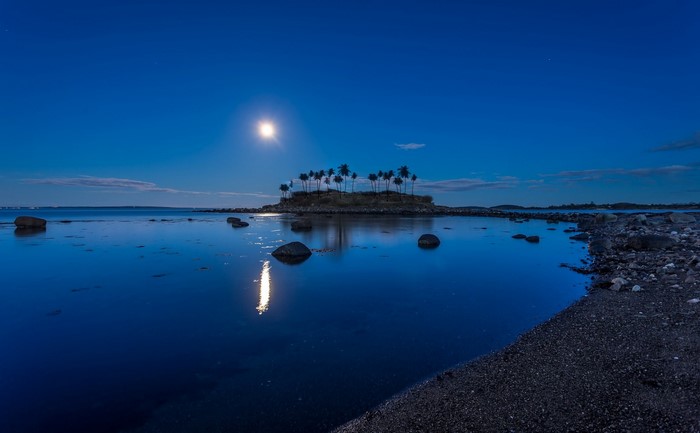 Island with palm trees under moonlight and reflection