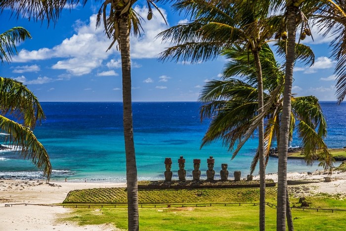 Moai statues on Easter Island with palm trees and ocean