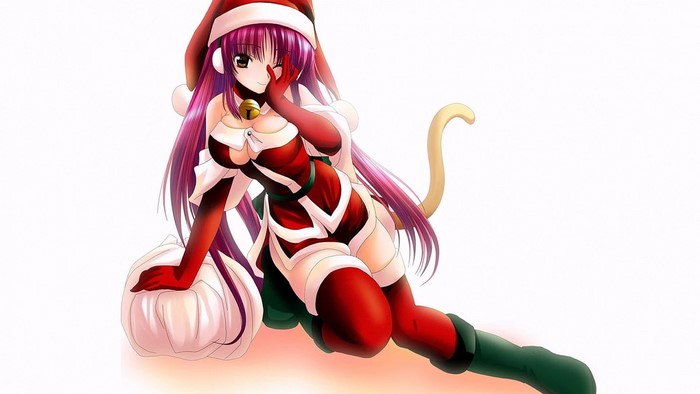 Tamaki Kousaka from To Heart 2 in Christmas outfit