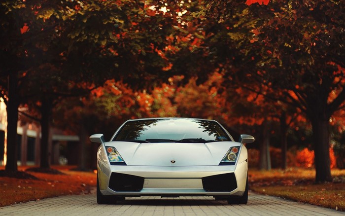 Silver Lamborghini Gallardo parked on a road with autumn trees