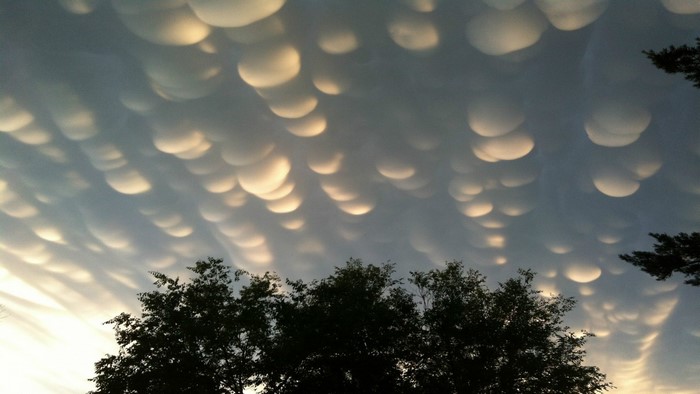 Mammatus clouds over trees at sunset