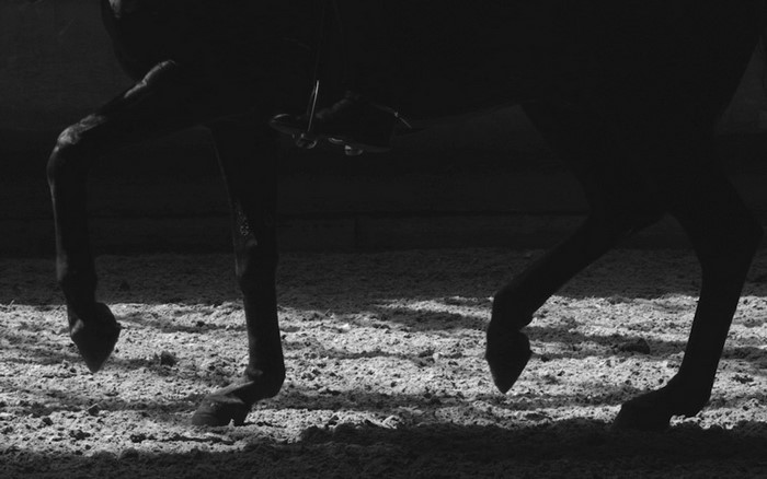 Monochrome image of a horse's legs and hooves on sand