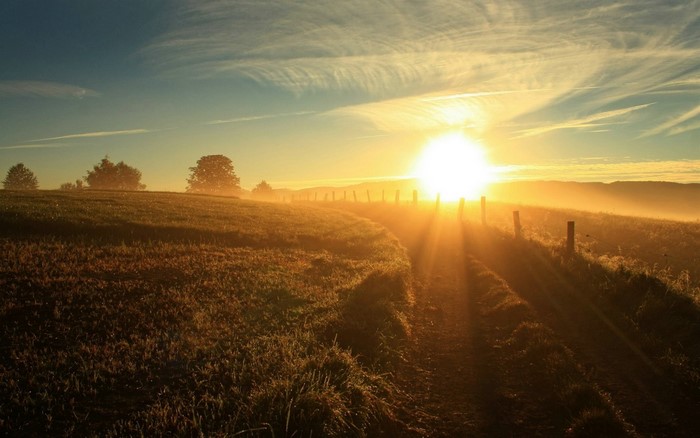 Sunrise over a misty field with a fence