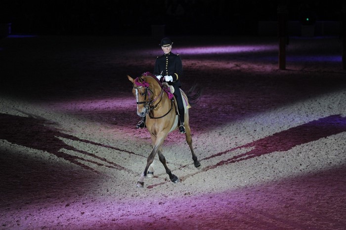 Rider in uniform on a horse during a performance in Saumur, France