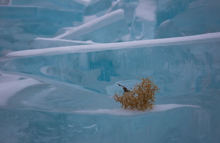 Ice formations on Lake Baikal with dry plant
