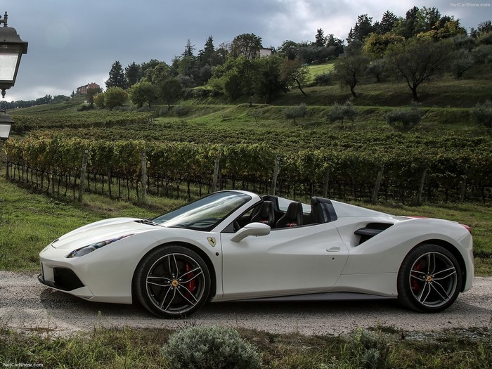 White Ferrari convertible parked in a vineyard