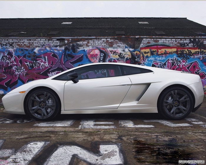 White Lamborghini Gallardo parked in front of graffiti wall