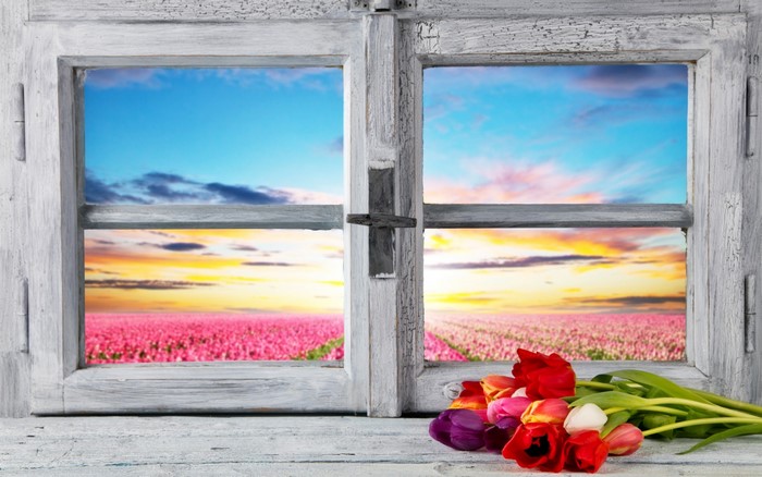 Tulips in front of a window overlooking a field