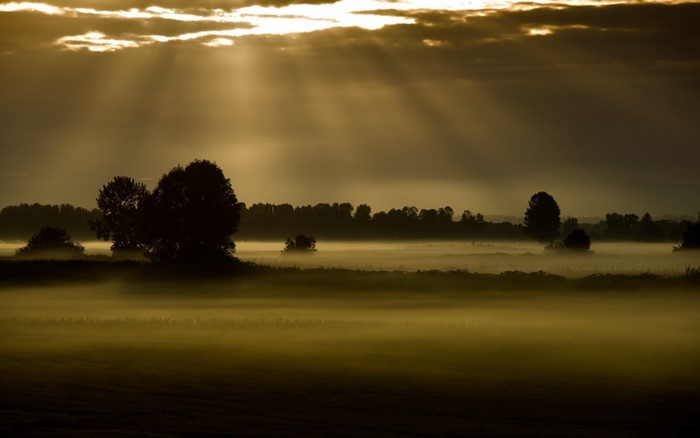 Sunbeams through fog over a misty landscape at dawn