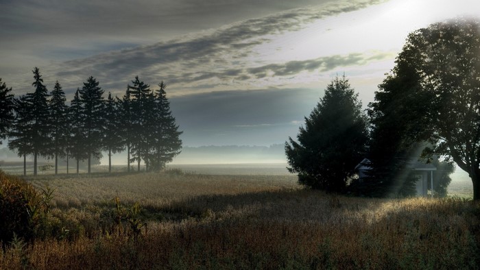 Misty rural landscape with sunbeams and trees
