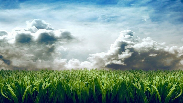 Green grass field under a cloudy sky