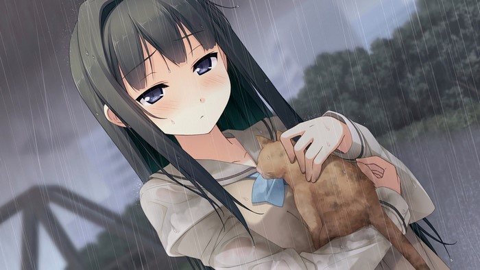 Anime girl holding a cat in the rain