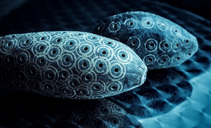 Two carved stones with circular patterns and holes