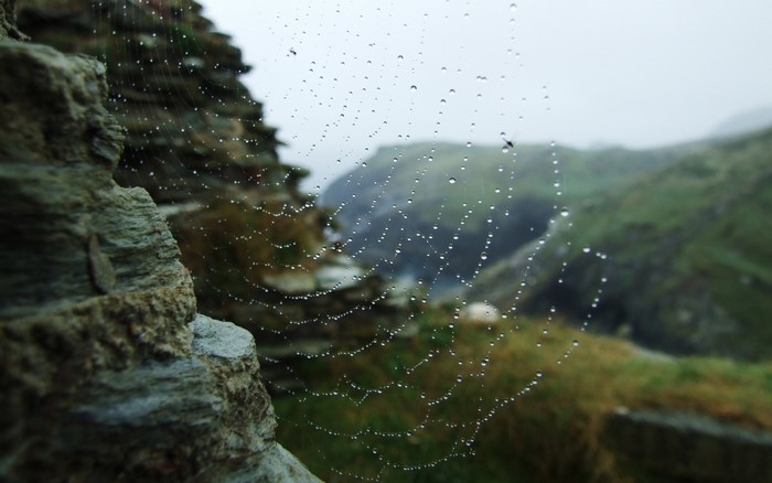 Spiderweb with water drops on a rocky cliff