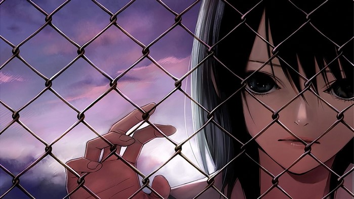 Anime girl behind a chain-link fence at sunset