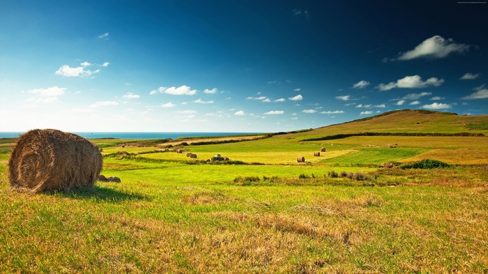 Hay bales in a green field with the ocean and sky