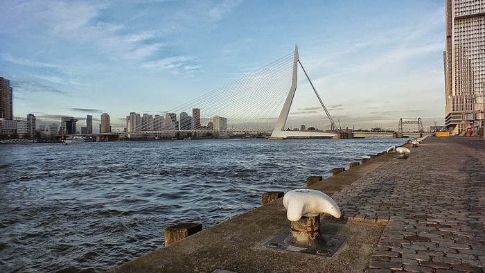 Erasmus Bridge over Maas River in Rotterdam