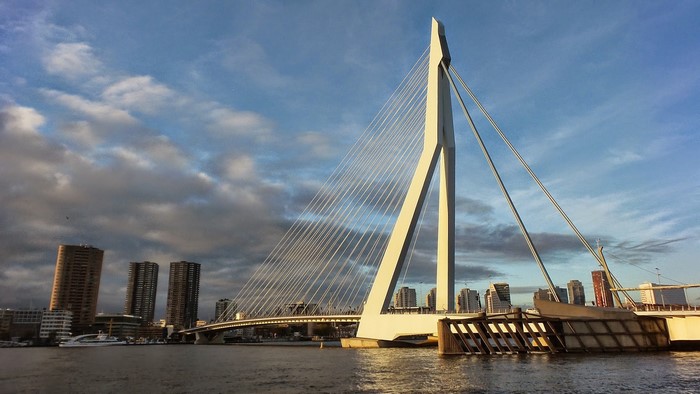 Erasmus Bridge in Rotterdam Cityscape