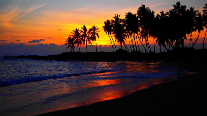 Sunset over a tropical beach with palm trees