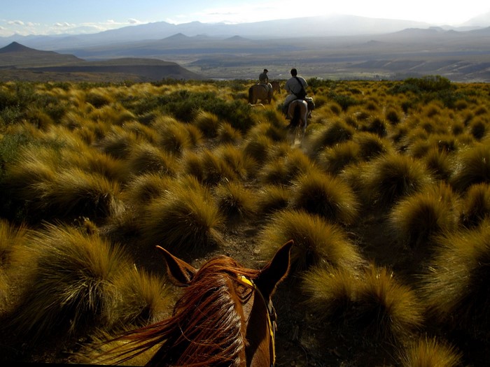 Two people on horseback in a grassy landscape