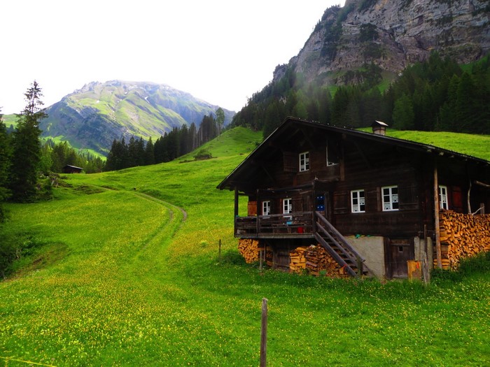 Scenic Swiss Alps Chalet in Verdant Meadow