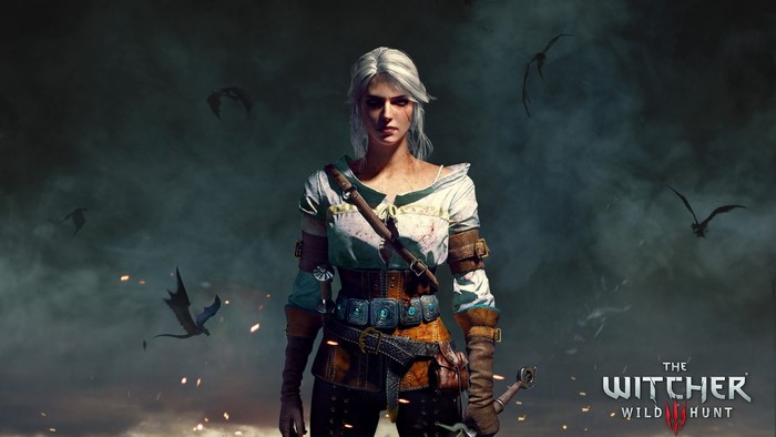 Ciri from The Witcher 3 Wild Hunt