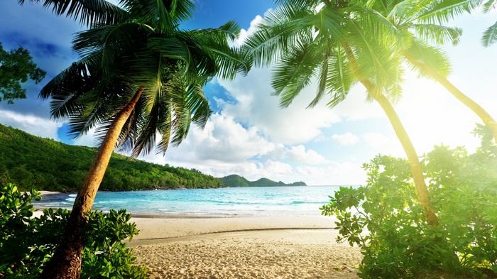 Thailand, 5k, 4k, sun, palms, shore, ocean