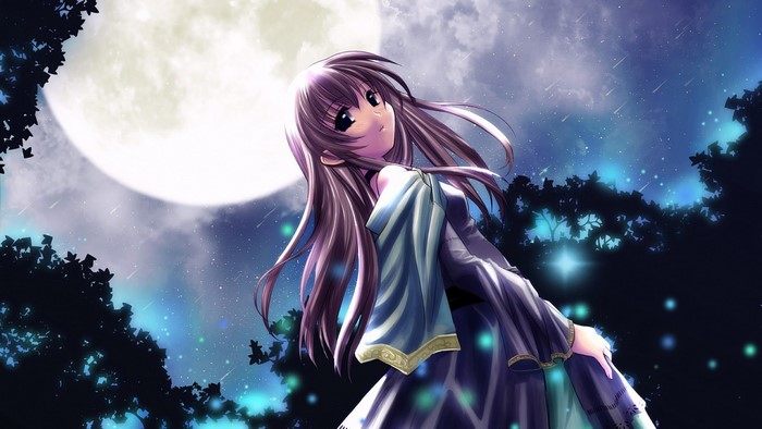 Anime girl under the moon and stars