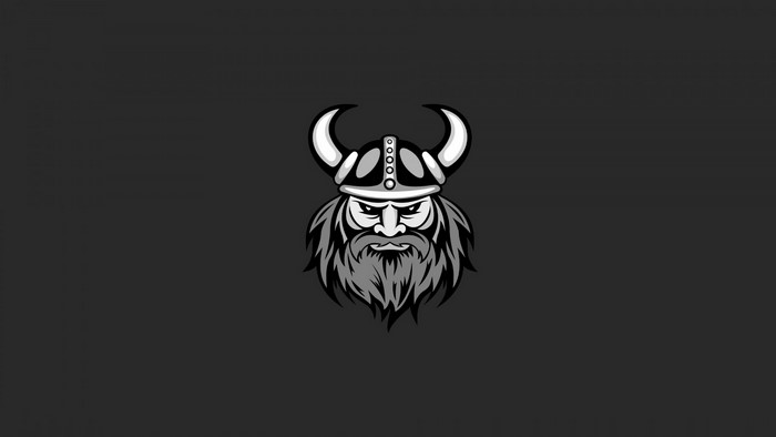 Viking warrior illustration with horns