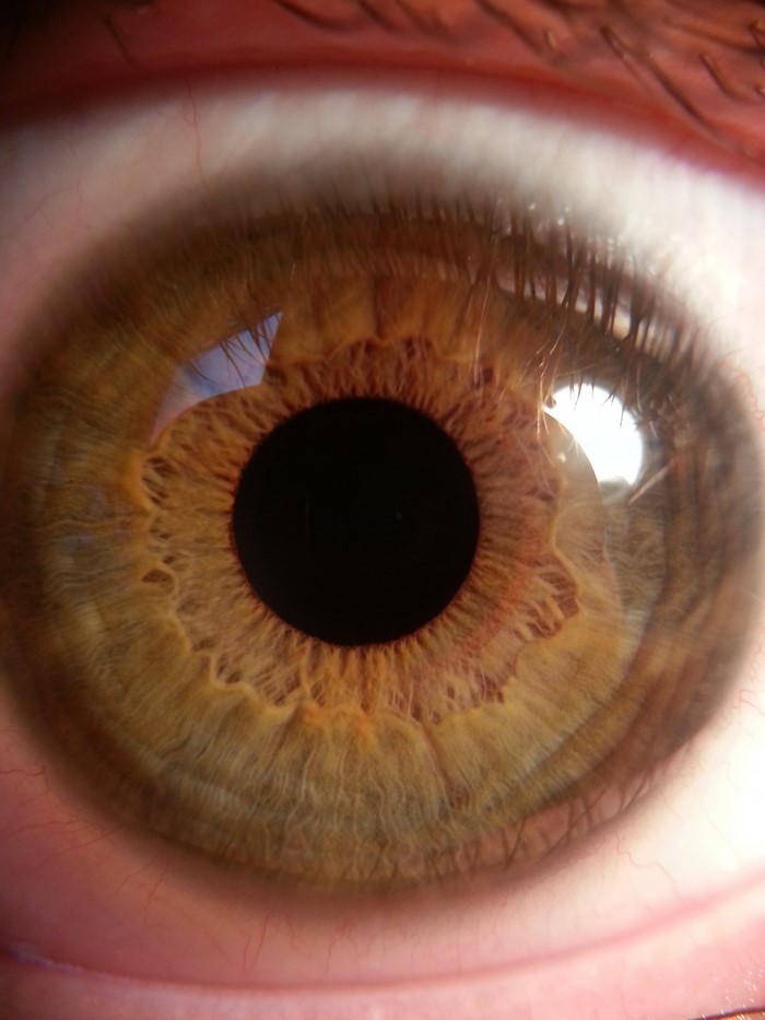 Extreme Close-up of a Human Eye Iris