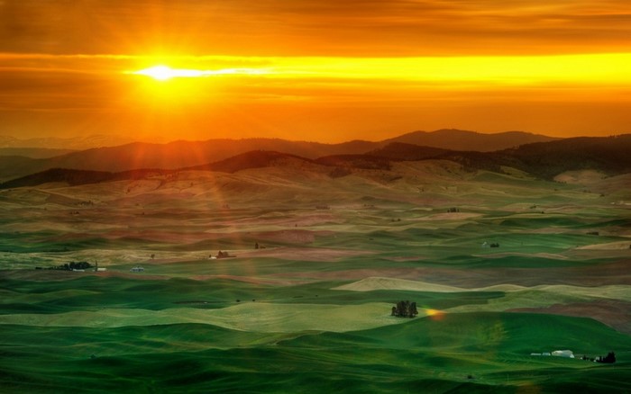 Rolling green hills at sunset with sun rays