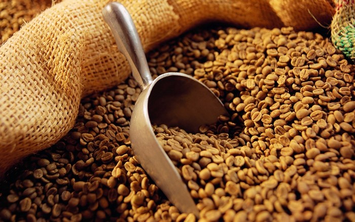 Coffee beans in a burlap sack with a scoop