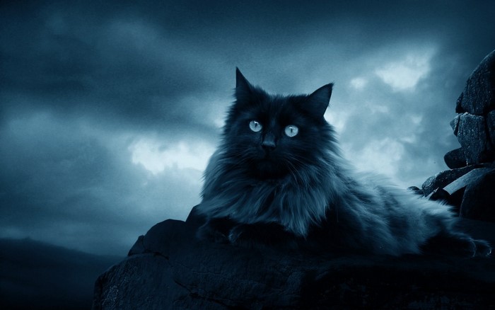 Black cat with glowing eyes on rocks under stormy sky