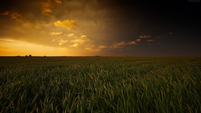 Sunset over a green field