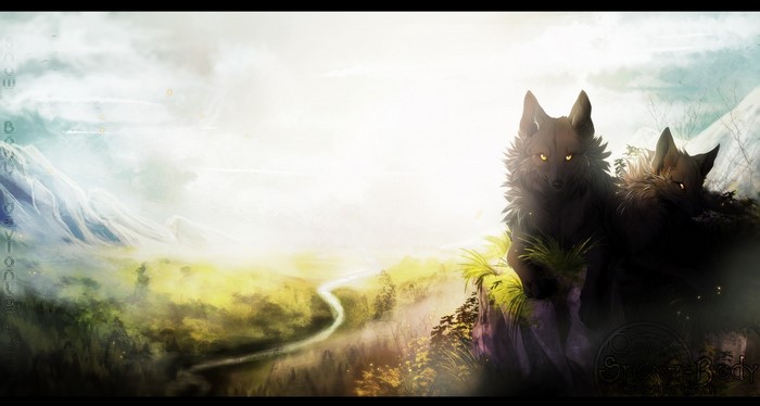 Two wolves on a cliff overlooking a misty valley