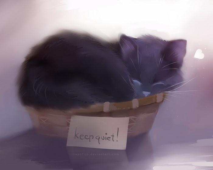 Sleeping Black Cat in Basket with Keep Quiet Sign