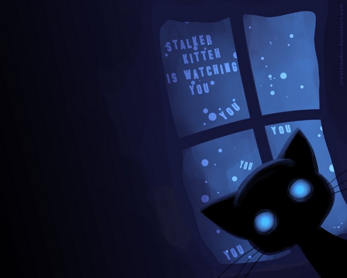 Stalker Kitten Watching You Through Window