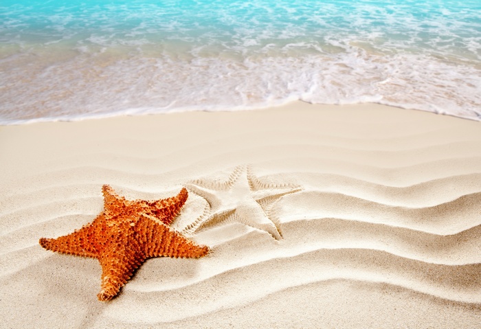 Starfish on a Sandy Beach with Ocean Waves