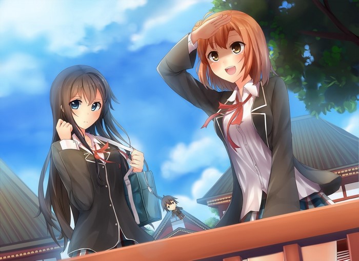 Yukinoshita Yukino and Yuigahama Yui from Yahari Ore no Seishun Love Comedy wa Machigatteiru