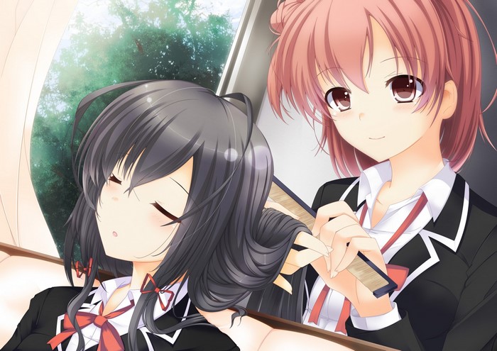Yukinoshita Yukino and Yuigahama Yui from Yahari Ore no Seishun Love Comedy wa Machigatteiru