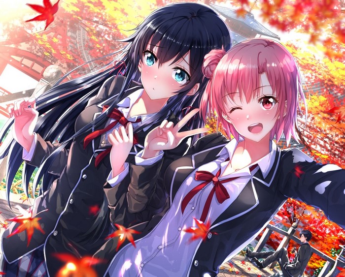 Yukinoshita Yukino and Yuigahama Yui from Yahari Ore no Seishun Love Comedy wa Machigatteiru