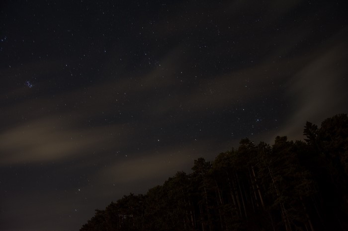 Night sky with stars and clouds over a forest