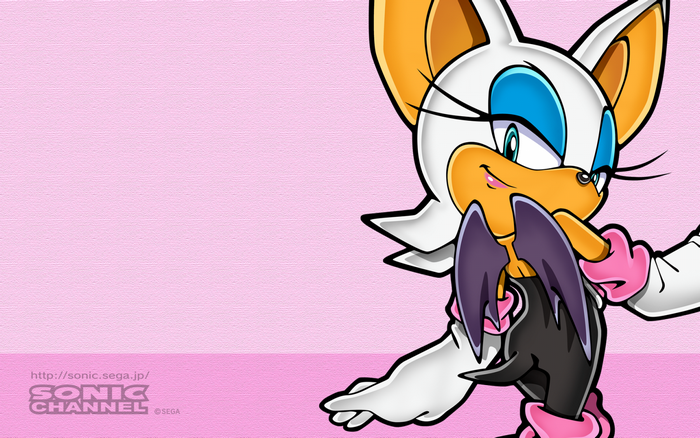 Rouge the Bat from Sonic the Hedgehog